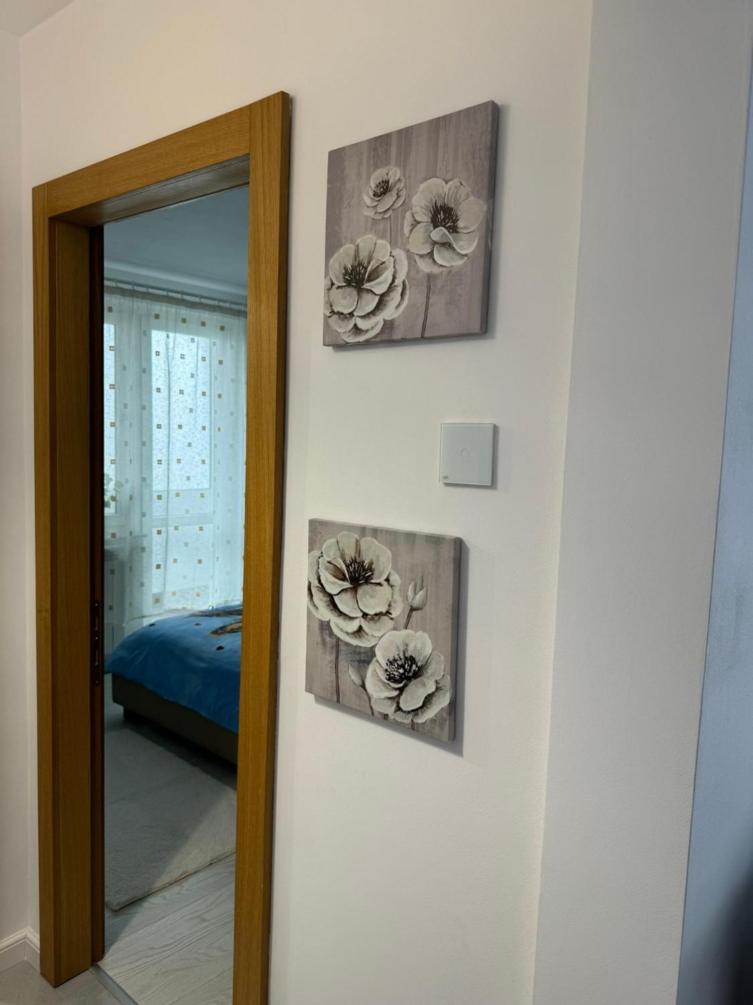 Apartament Central Râmnicu Vâlcea 外观 照片